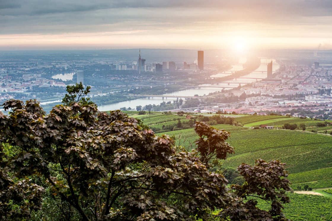 An aerial shot of Vienna, overlooking the city from a park
